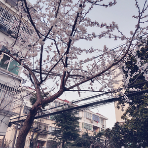 偷拍农村沟厕浓毛
